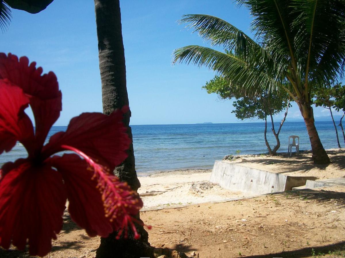 Tori'S Backpacker'S Paradise Siquijor Zewnętrze zdjęcie