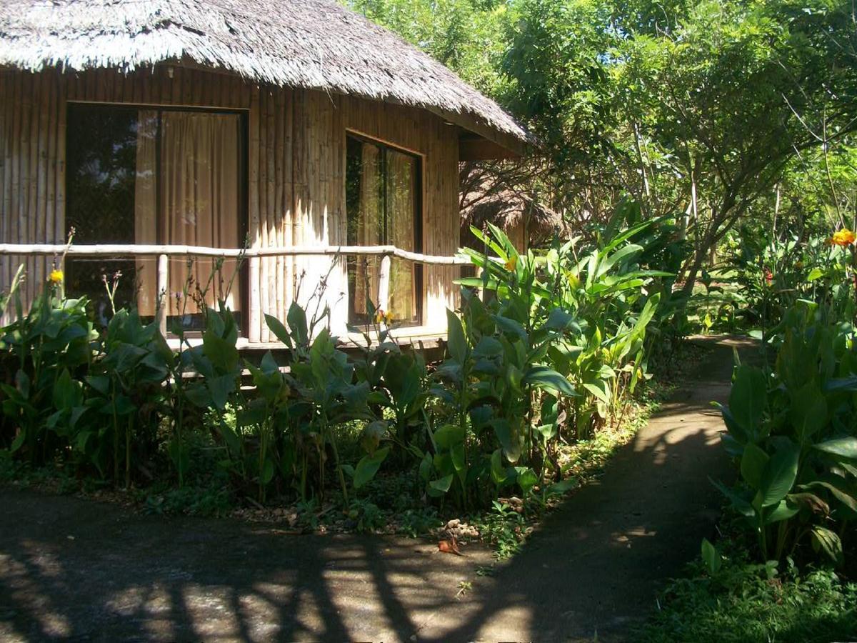 Tori'S Backpacker'S Paradise Siquijor Zewnętrze zdjęcie